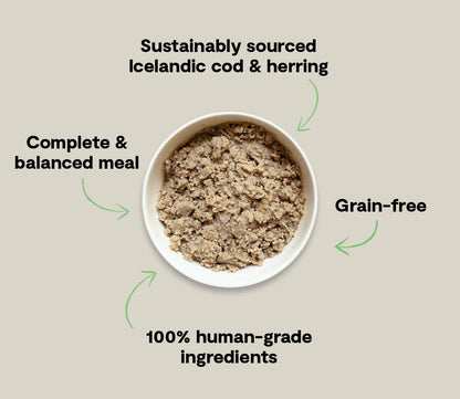 Open Farm Icelandic Cod & Herring Wet Food for Dogs
