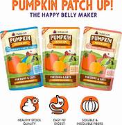 Pumpkin Patch Up For Dogs & Cats
