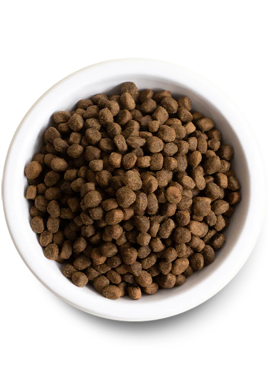 Open Farm Dry Grain Free Dog Food: Lamb