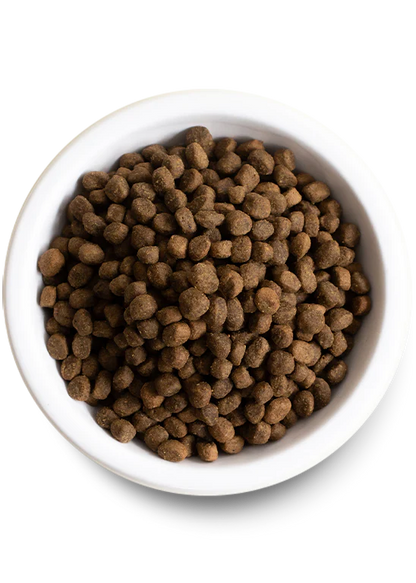 Open Farm Dry Grain Free Dog Food: Lamb