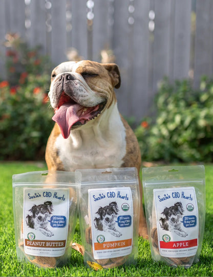 Suzie's Organic CBD Dog Treats | Original