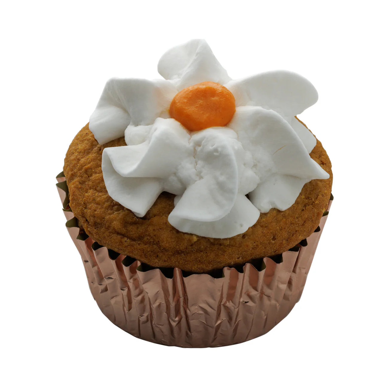 Swell Gelato Dog Treat Frozen Pumpkin Pupcake