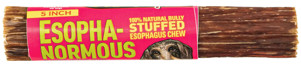 Etta Says! Esopha-normous Bully Stuffed Esophagus Chew Indiv.