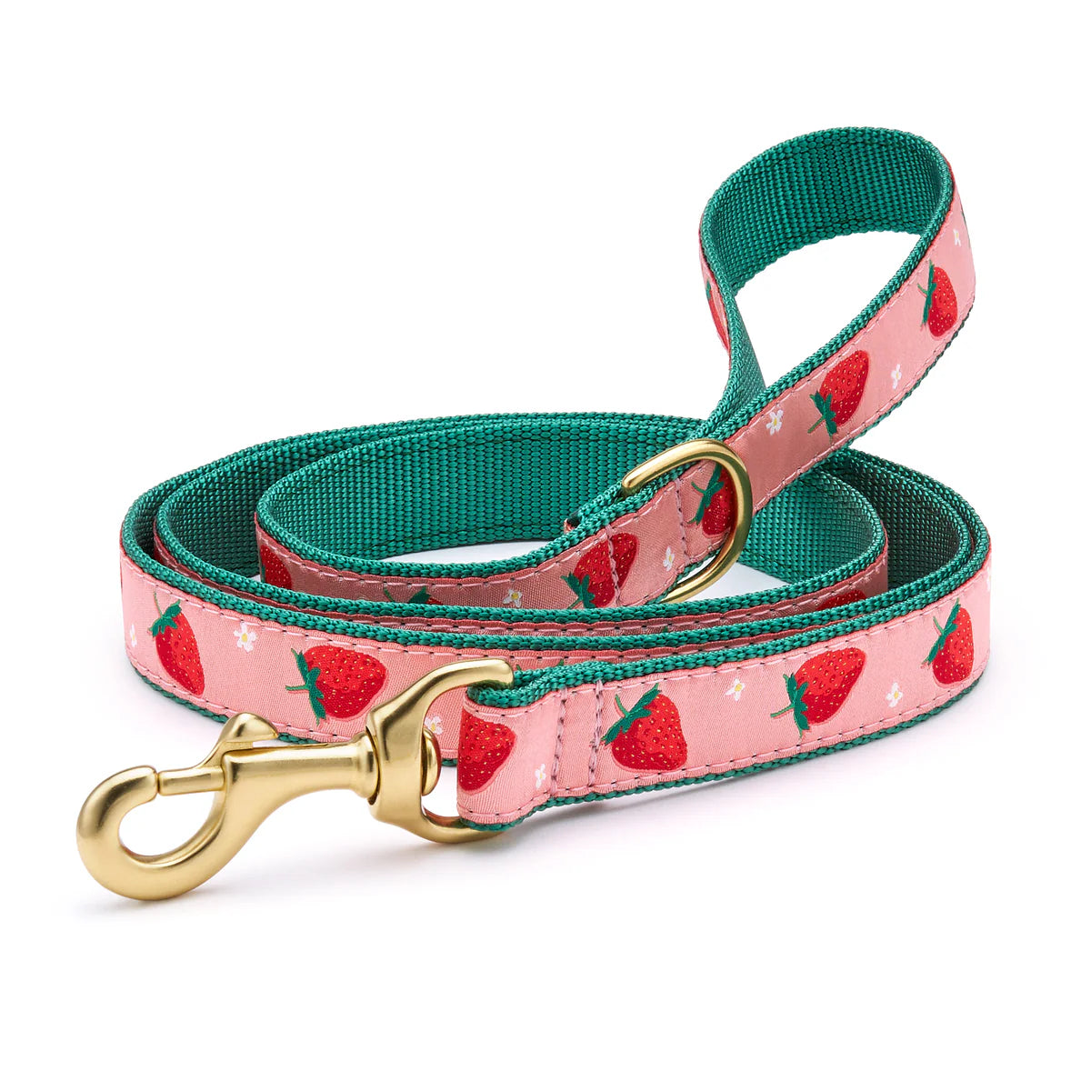 Up Country 5' Strawberry Fields Dog Lead Narrow