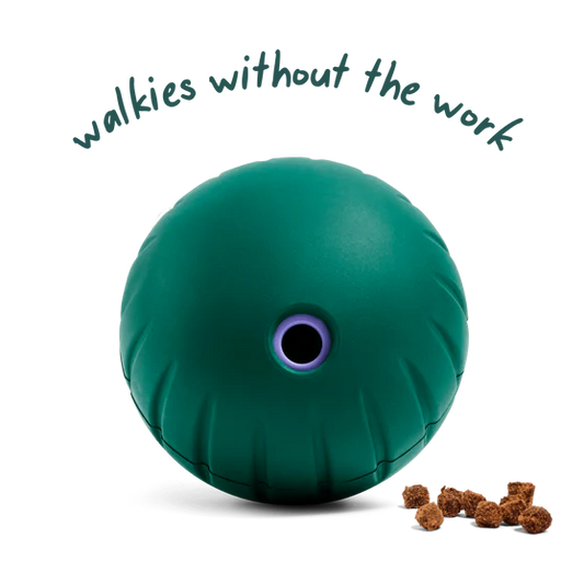 Woof Dog Forager Walkabout Dog Toy: Small