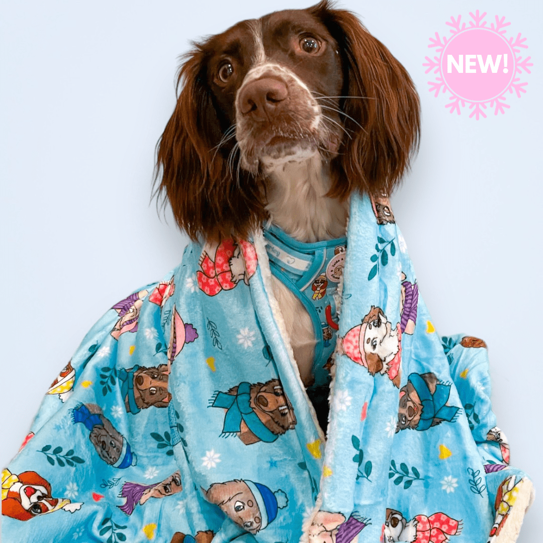 Snow Pawtrol Dog Blanket