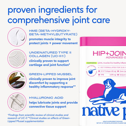 Hip+Joint Advanced Care Powder Joint, Muscle & Inflammation: 30 scoops