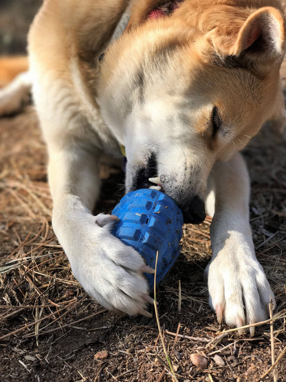 USA-K9 Grenade - Chew Toy - Treat Dispenser