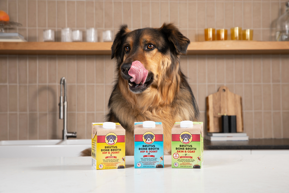 Mini Brutus Broth Hip & Joint Beef Bone Broth