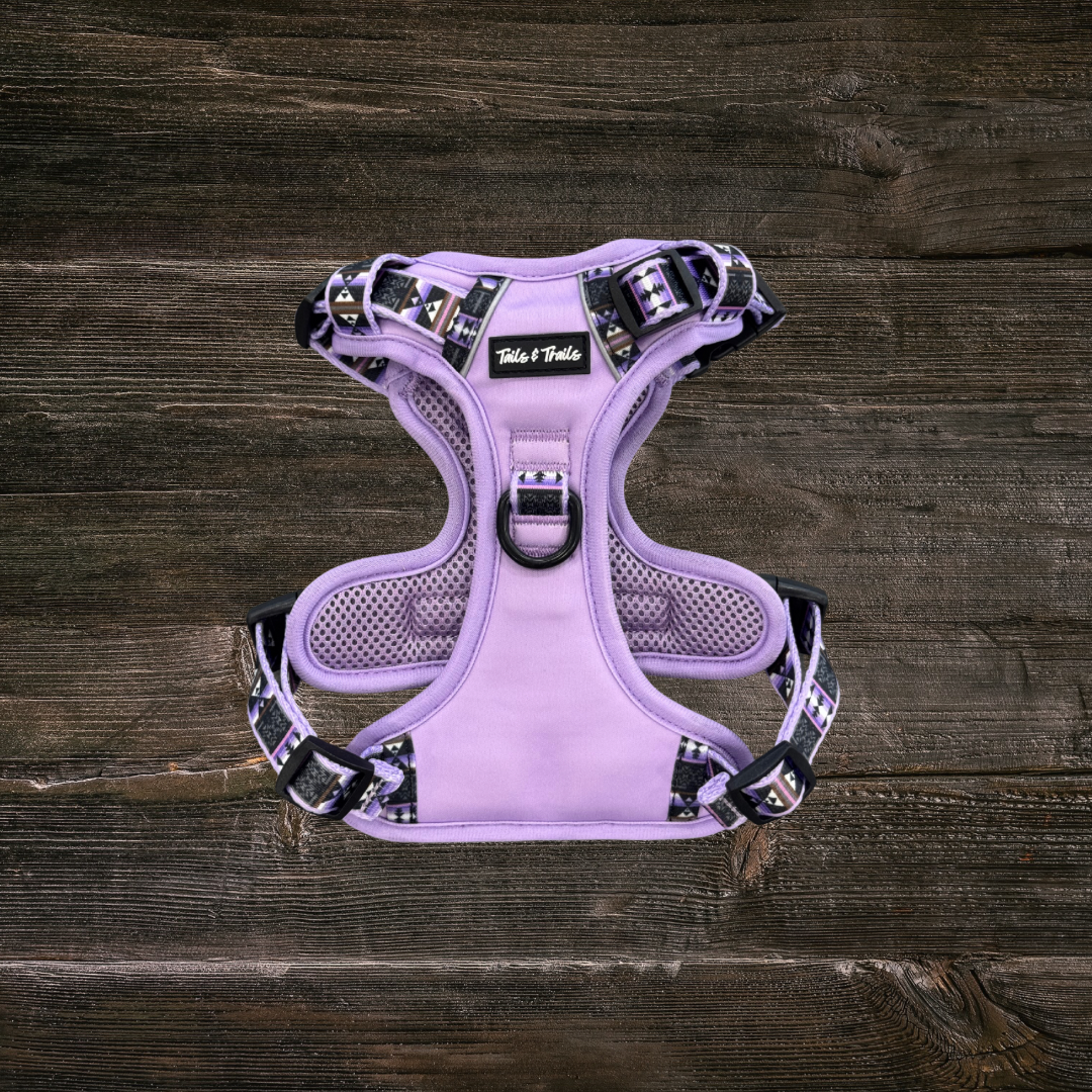 Wolfpack Adventure Dog Harness