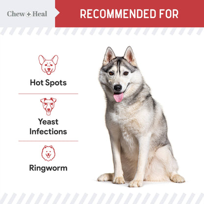Chew + Heal Antibacterial & Antifungal Medicated Wet Wipes for Dogs