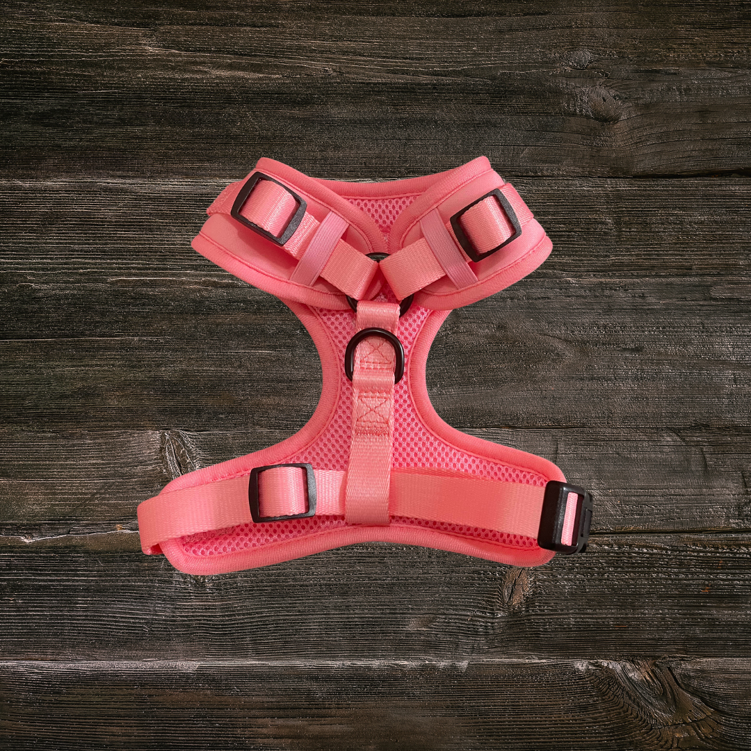 Salmon Pink Pull Over Dog Trail Harness