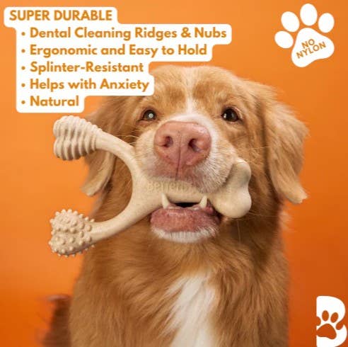 BetterBone Hard Classic Dog Chew Toy