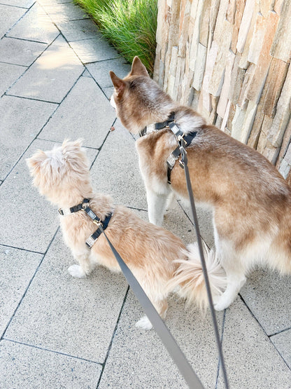 Sunny Tails Ember Black Cloud Lite Dog Harness