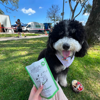 Gogoma Spirulina + Coconut Whole Food Dog Treat for Immunity