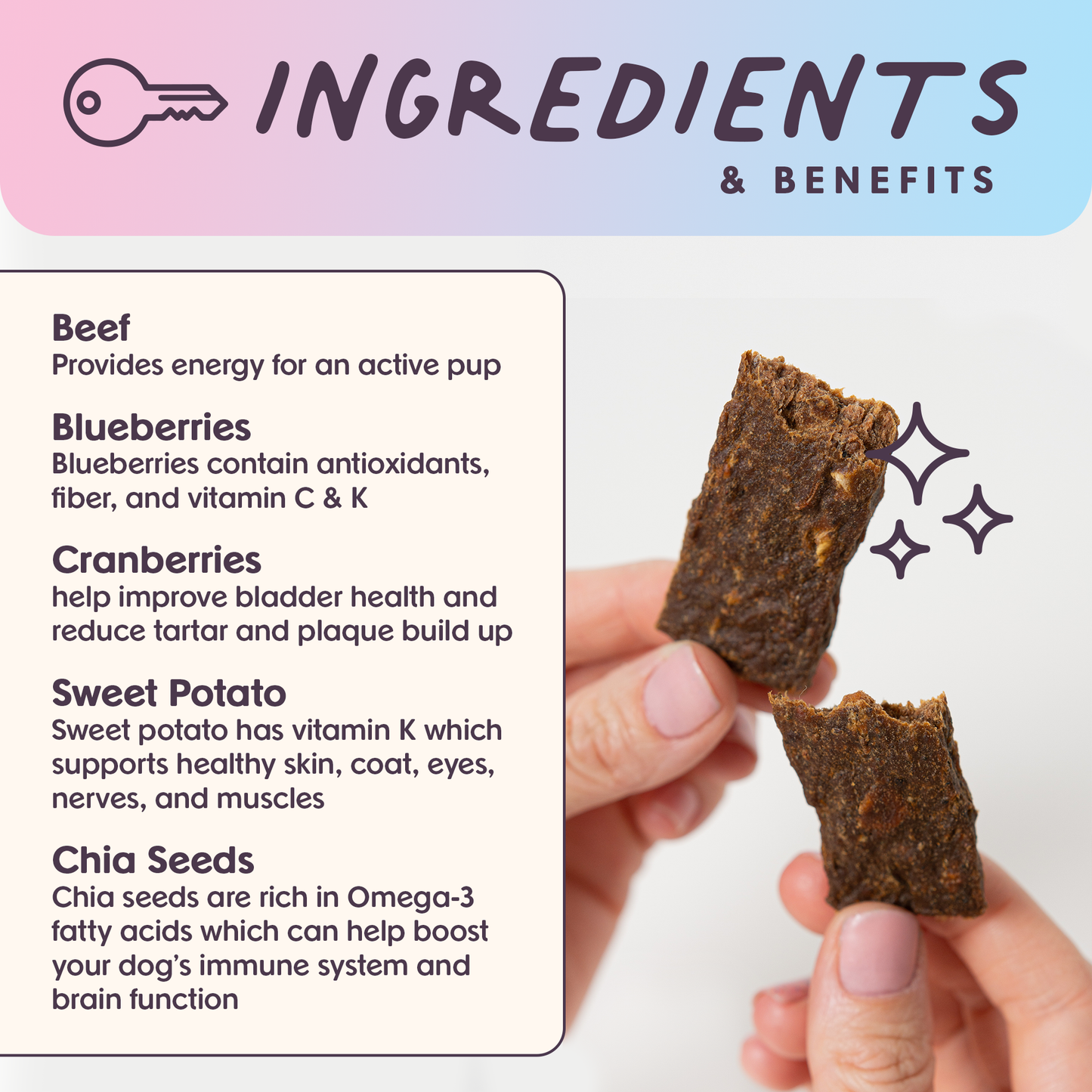Leash & Load Beef Superfood Jerky Bars for Dogs 5oz
