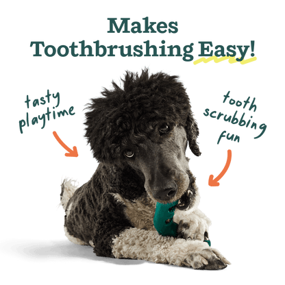 The Bite n' Brush: Small