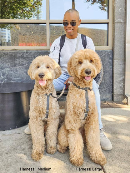 Sunny Tails Ember Black Cloud Lite Dog Harness