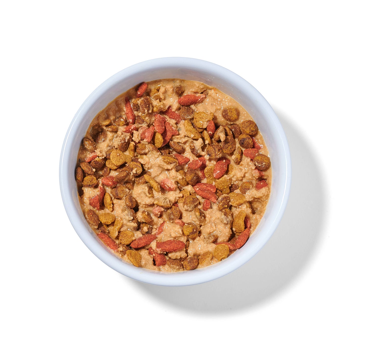 Boots' Salmon N' Pumpkin Human Grade Fresh Wet Food