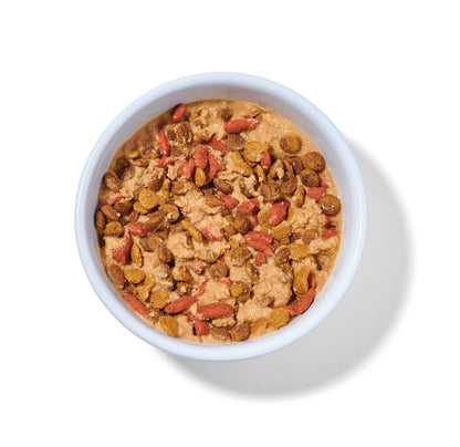 Boots' Salmon N' Pumpkin Human Grade Fresh Wet Food