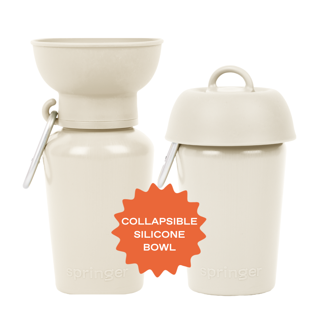 Springland Dog Travel Water Bottle Oat
