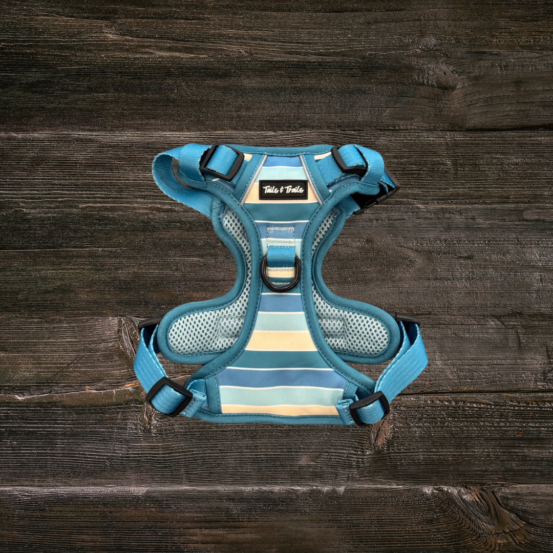 Tide Break Adventure Dog Harness