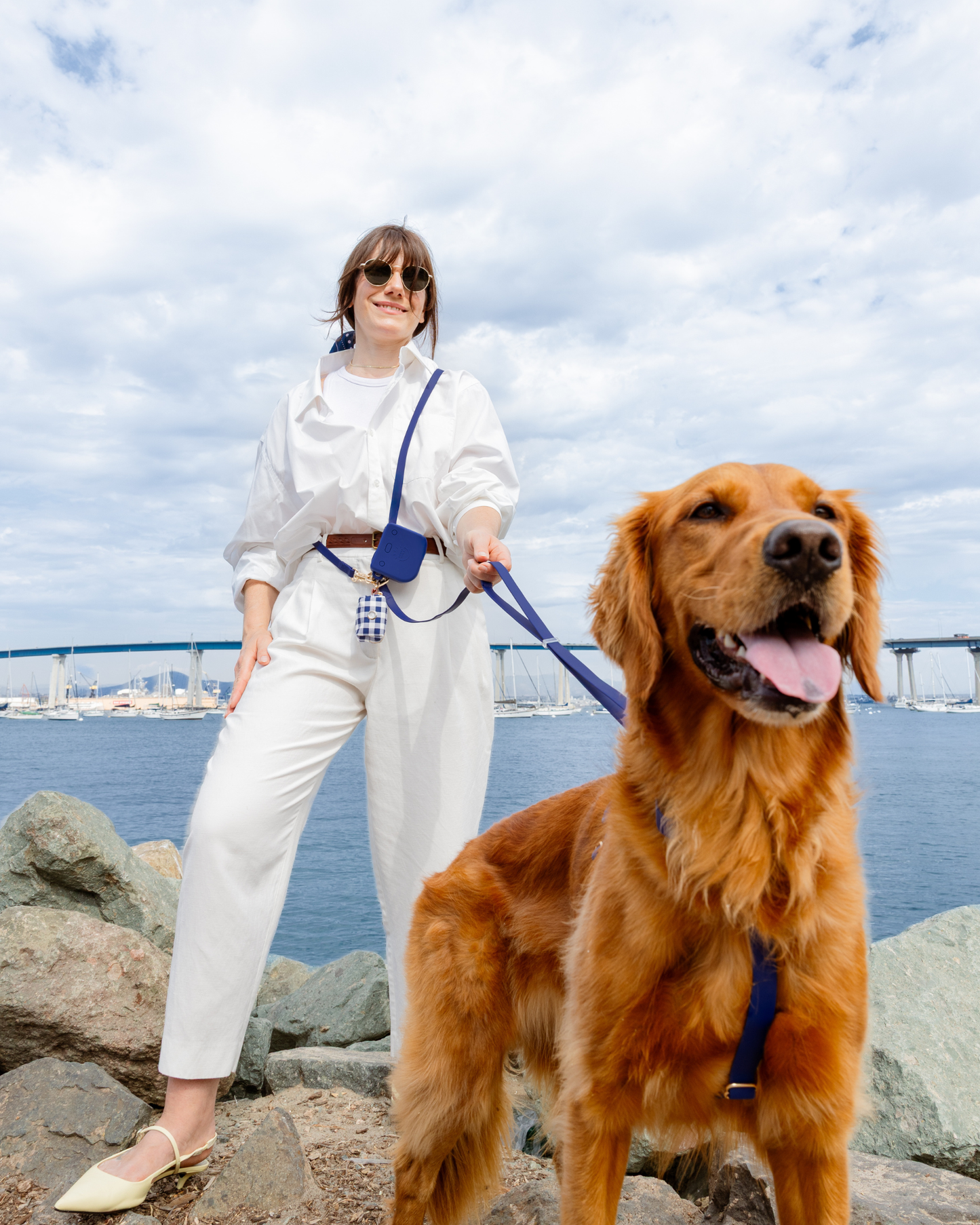 Signature Navy 4-in-1 Convertible Hands Free Cloud Dog Leash: Standard