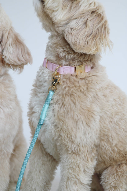 Pastel Pink - Dog Collar: