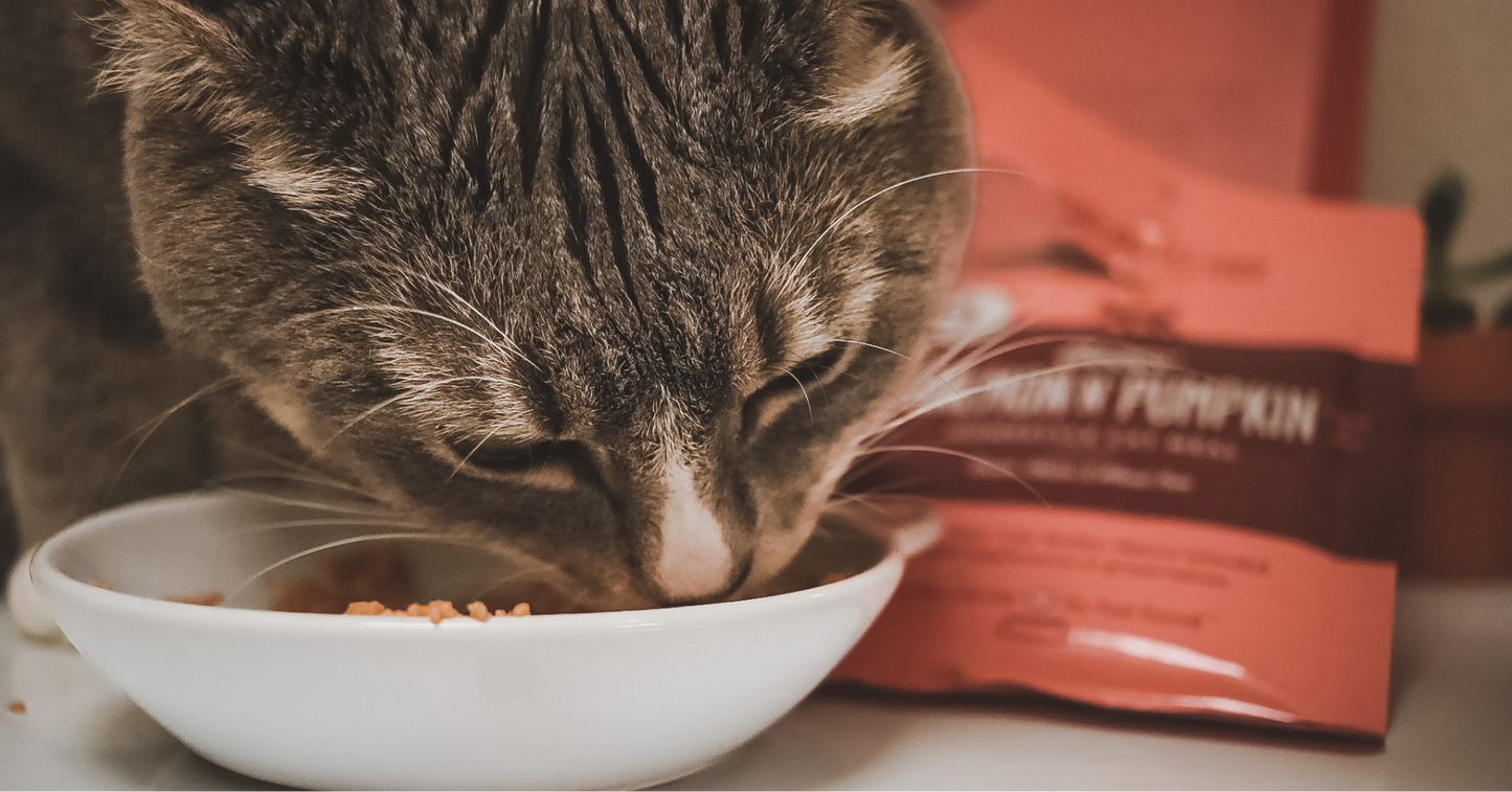 Portland Pet Food Luke's Chicken N' Pumpkin Human Grade Fresh Wet Food