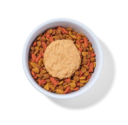 Boots' Salmon N' Pumpkin Human Grade Fresh Wet Food