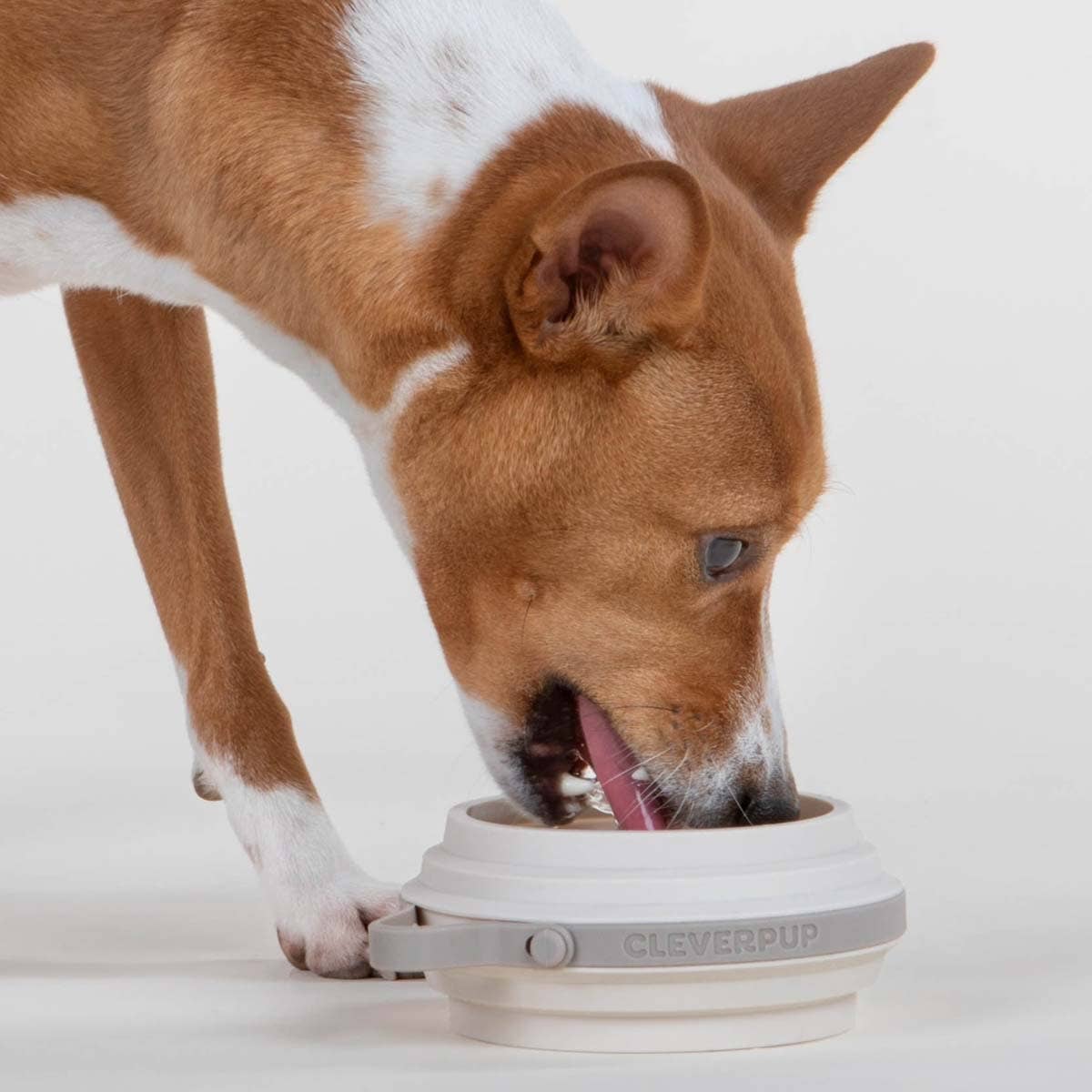 Nomad Collapsible Dog Bowl - Two Sizes Available: Grey Silicone / Large