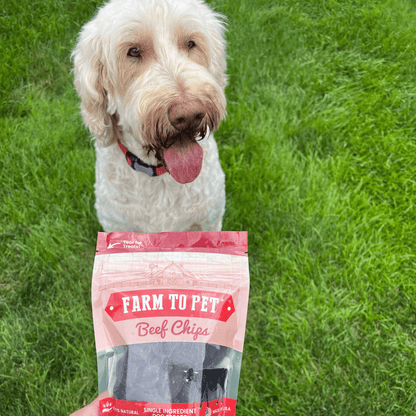 Beef Chips Dog Treats: Standard 4oz