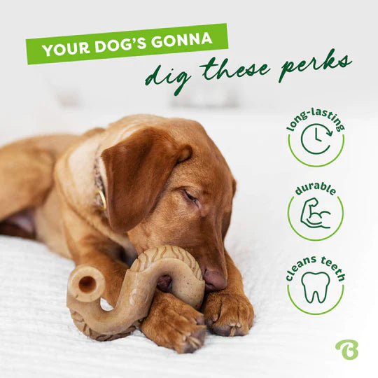 Benebone Beef Tripe Toy