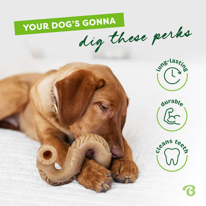 Benebone Beef Tripe Toy