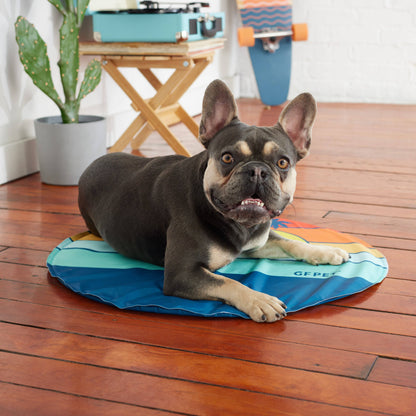 GF Pet Ice Cooling Mat: Aqua / L/XL