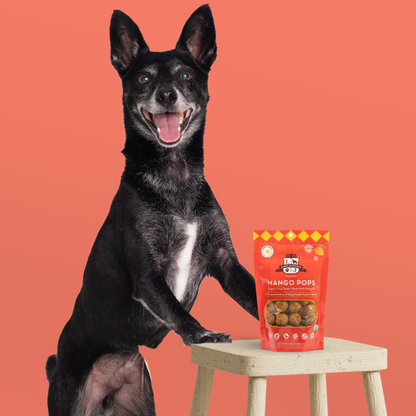 Mango Pops Organic Dog Treats | Mango & PB