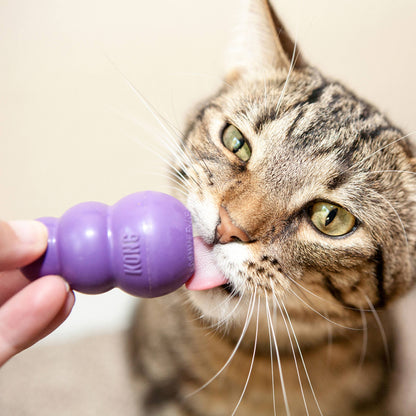 Kitty KONG® Cat Toy