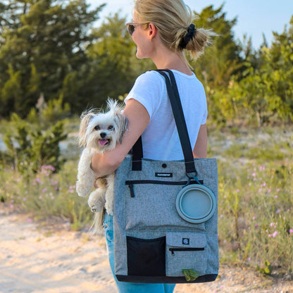 Park Pack Dog Gear Tote:Travel Bowl, Treat Pouch, Toy Pocket: Check