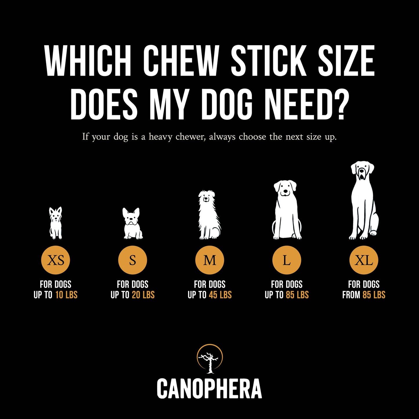 Coffee Wood Dog Chews