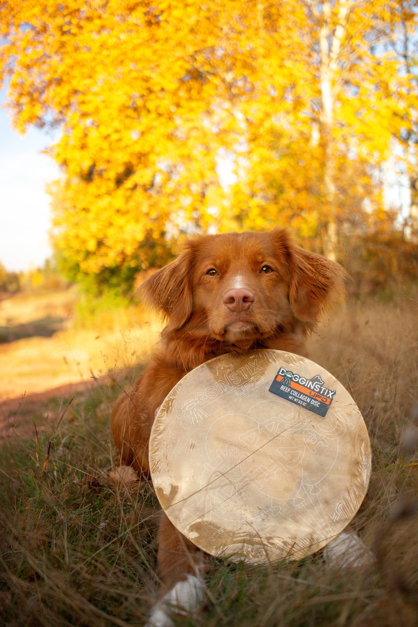 Beef Collagen UFO - Frisbee Disc