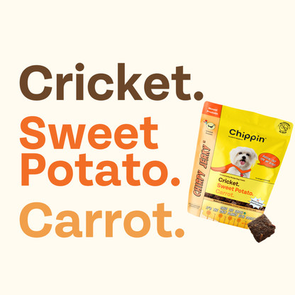 Chippin Sweet Potato Cricket Carrot Soft Dog Treat