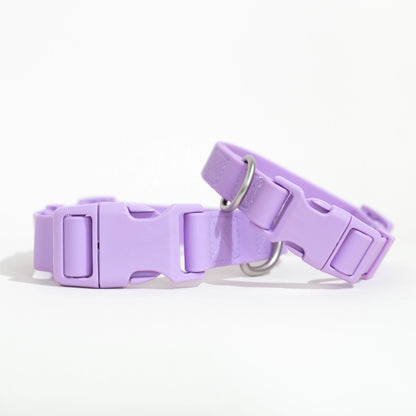 Springer Purple Waterproof Dog Collar