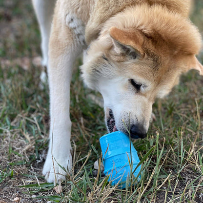 Ice Cream Cone Durable Rubber Chew Toy and Treat Dispenser: Large