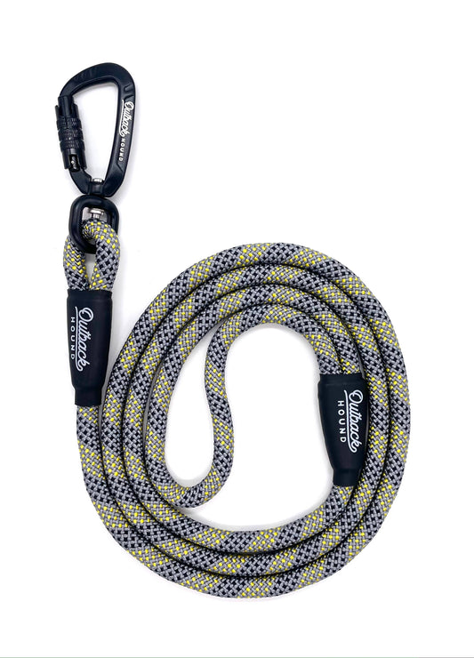 Swivel All-Terrain Dog Leash - Silver