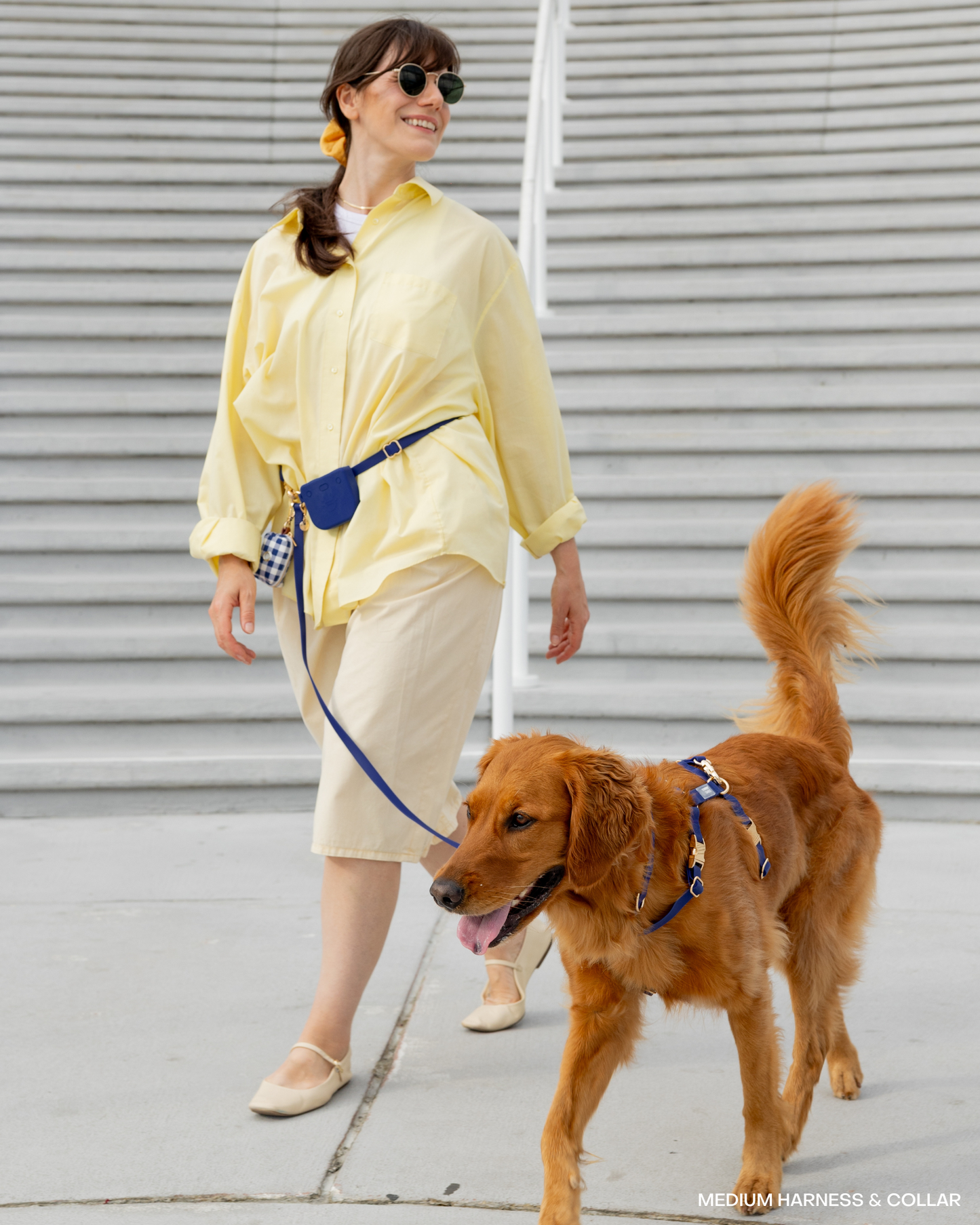 Signature Navy 4-in-1 Convertible Hands Free Cloud Dog Leash: Standard