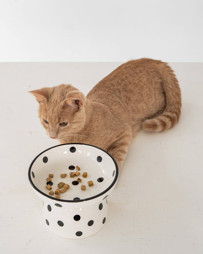 Cat Ceramic Bowl - White & Black Polka Dot