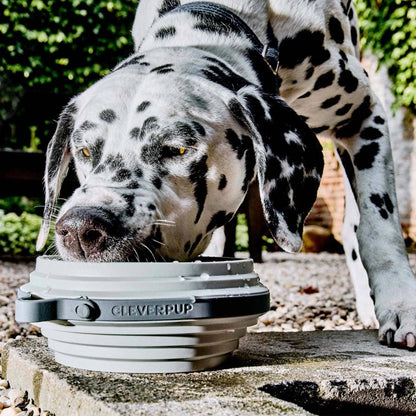 Nomad Collapsible Dog Bowl - Two Sizes Available: Sand Silicone / Large