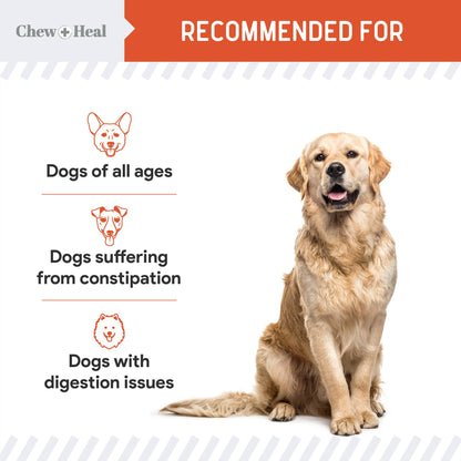 Chew + Heal Organic Pumpkin Powder Blend