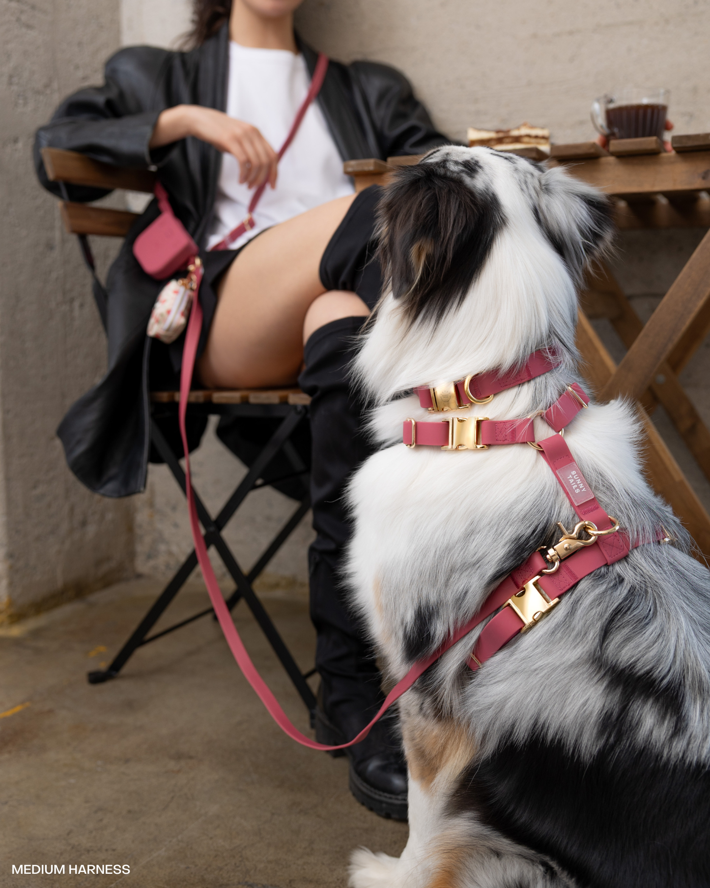 Burgundy 4-in-1 Convertible Hands Free Cloud Dog Leash: Standard