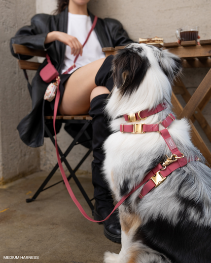 Burgundy 4-in-1 Convertible Hands Free Cloud Dog Leash: Wide